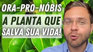 ORA-PRO-NÓBIS: 10 MAIORES BENEFÍCIOS PARA SUA SAÚDE