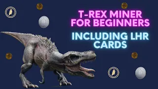 How to Use T-Rex Miner (including LHR Guide)