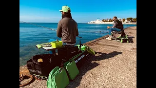 NOI DI MAVER - Finalmente Spigole e saraghi a bolognese dal porto - con il mitico bigattino