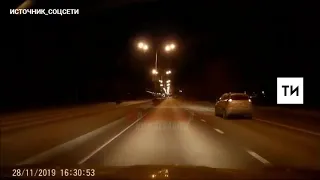 Очевидцы сняли на видео, как кабаны перебегают перед авто трассу в Татарстане