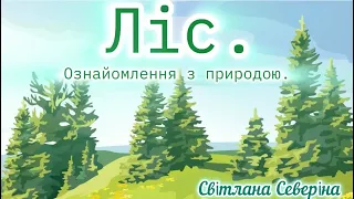 Ліс. (Ознайомлення з природою) старший дошкільний вік