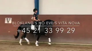 Blokland’s Ho Eve’s Vita Nova