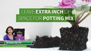 Black Gold® Natural & Organic African Violet Potting Mix