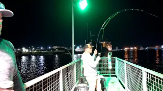 This is why everyone wants to fish the Texas A&M Galveston Fishing Pier (S7 E23)