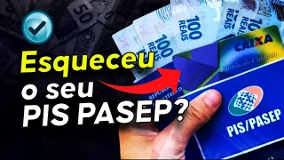 Pis Pasep Esquecido: O que fazer após o prazo de saque?