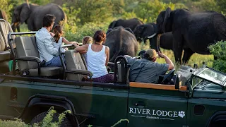 Simbavati River Lodge