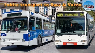 Buses & Trolleybuses in Ruse & Varna 🇧🇬 | July 2022 🚎🚌