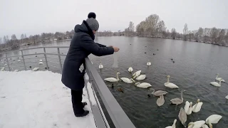 Зимний отдых на АЛТАЕ  2018 г . 1-я часть " ЛЕБЕДИНОЕ  ОЗЕРО"