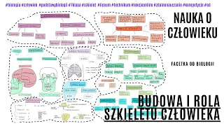 Budowa i rola szkieletu | Układ szkieletowy | Szkielet człowieka | Darmowe korepetycje z biologii