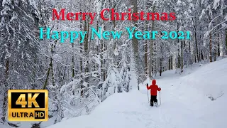 A Tribute to 2020 : Merry Christmas & Happy New Year 2021