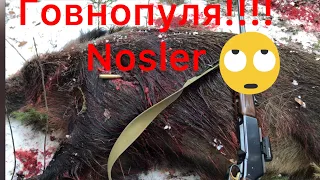 Пуля Nosler разорвала кабана  !!!