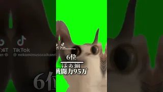 猫ミーム戦闘力ランキング#cat