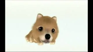 THE DOG ISLAND INTRO WII