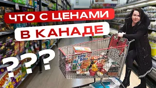 КАНАДСКИЕ ЦЕНЫ, ЗАКУПКА В COSTCO, ЦЕНЫ НА ПРОДУКТЫ В КАНАДЕ  #canadalife  #канада  #жизньвканаде