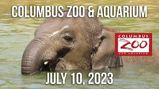 Columbus Zoo & Aquarium | July 10, 2023