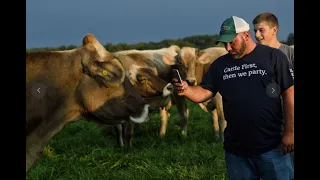 Grass-fed Beef Logistics: Transport, Processing, Distribution