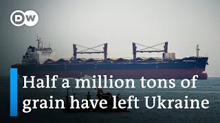 Ukraine grain exports pick up under UN-backed deal | DW News