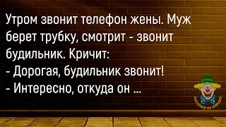 🤡Утром Звонит Телефон Жены...Сборник Новых Смешных Анекдотов,Для Супер Настроения!