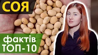 ТОП-10 фактів про сою/ СуперАгроном