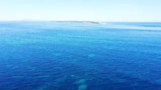 Great Barrier reef... One of the 7 wonders!