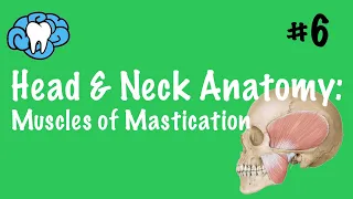 Head & Neck Anatomy | Muscles of Mastication | INBDE