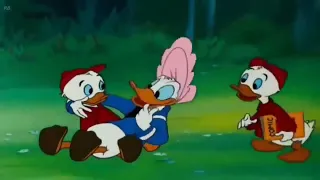 Donald Duck Chip and Dale #98 cartoon Mickey Mouse Pluto animation Walt Disney