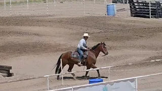 EXCA 2024 04 28 El Paso Sheriff's Posse Ranch Versatility #9 Luis F Nanine