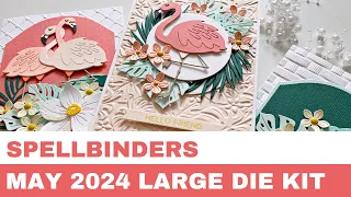 #284  Spellbinders May 2024 Large Die Kit & 3D Embossing Folder - Card Inspirations