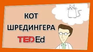 🔶 Кот Шредингера [Ted-Ed на русском]