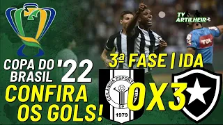 [Copa BR '22] 3ª Fase | Ida | Ceilândia 0 X 3 Botafogo FR | Confira Os Gols! | TV ARTILHEIRO