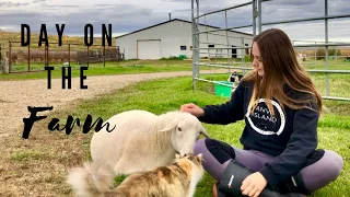 Everyday Farm Animal Routine|Day in the life|30 Farm Animals|Goats, Ducks, Bunnies, etc.