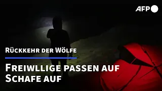 Wolfs-Nachtwache in den Schweizer Alpen | AFP
