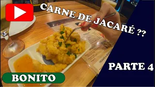 Provamos carne de jacaré - Bonito parte 5.