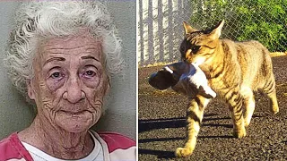 Бабуля разбогатела, научив кошек воровать драгоценности у соседей!