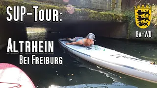 SUP - Tour: Altrhein nähe Freiburg.11,3km von Meißenheim bis Neuried. Einsteiger und Familien - Tour