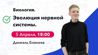 Эволюция нервной системы | Биология ЕГЭ | Cool School