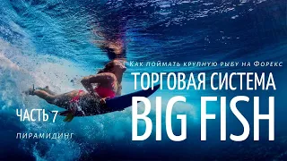 Торговая система BIG FISH 🦈 | Часть 7. Автоматический пирамидинг