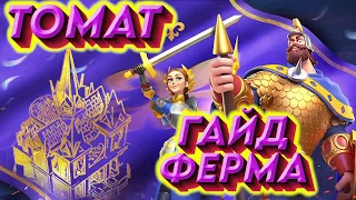 Для отбитых фермеров!!! | Rise of Kingdoms | TOMAT #riseofkingdoms #rok #lilith #райсофкингдом