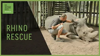 Rescuing Rhinos