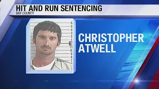 HIT AND RUN SENTENCING