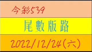 今彩539 『尾數版路』【2022年12月24日(六)】肉包先生