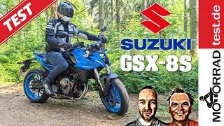 Suzuki GSX-8S | Test (deutsch)