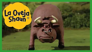 EL TORO - LA COMETA🐑LA OVEJA SHAUN TEMPORADA 1| DIBUJOS ANIMADOS PARA NIÑOS