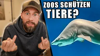 Ich kann die SCHEI*E nicht mehr hören! - Zoos schützen Tiere? | Robert Marc Lehmann