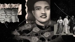 HELA Cell: Immortal Cells Turn 101- Henrietta Lacks Documentary Oprah Winfrey Henrietta Lacks Estate