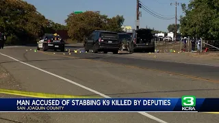 Deputies shoot, kill suspect who stabbed K-9 in the face