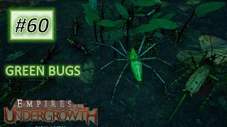 Empires of the Undergrowth #60: GREEN HELL