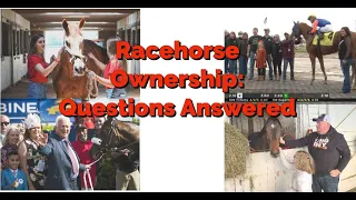 Racehorse Ownership: Questions Answered