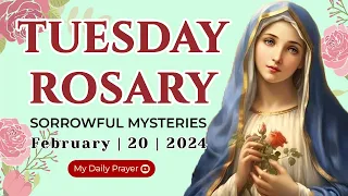 THE ROSARY TODAY 🌺 SORROWFUL  MYSTERIES 🌺 FEBRUARY 20, 2024 HOLY ROSARY MONDAY | PRAYER FOR GUIDANCE