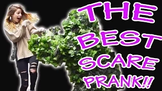 Funny Video! Funny Bushman Scare Prank #341 ! Funny Scare Prank | Ryan Lewis Videos